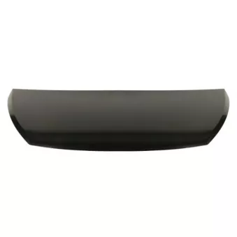 Capot-moteur BLIC OEM 6000619899