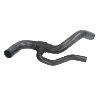 Durite de radiateur THERMOTEC DWF198TT pour FIAT PALIO 1.6 16V - 100cv