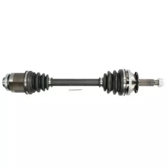 Arbre de transmission avant droit PASCAL OEM 4950126860