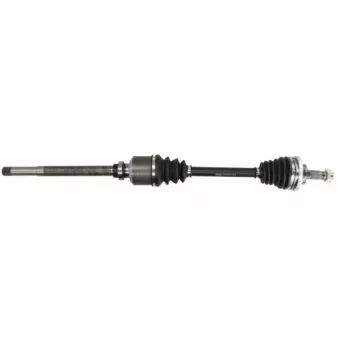 PASCAL G2P034PC - Arbre de transmission avant droit 