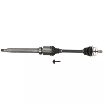 Arbre de transmission PASCAL OEM 36000681