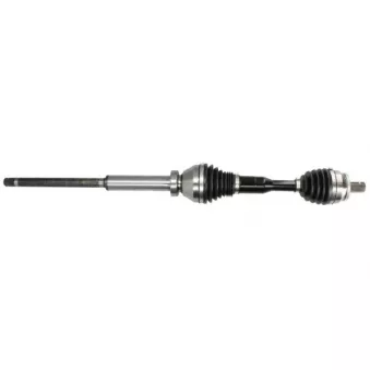 Arbre de transmission avant droit PASCAL OEM 36001217