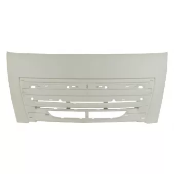 Grille de radiateur PACOL DAF-FP-029