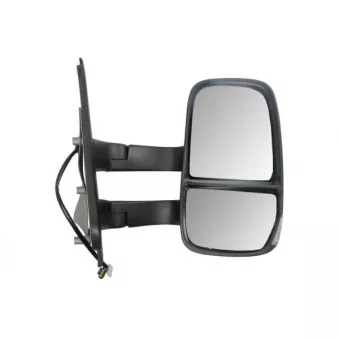 PACOL IVE-MR-039 - Rétroviseur extérieur, cabine