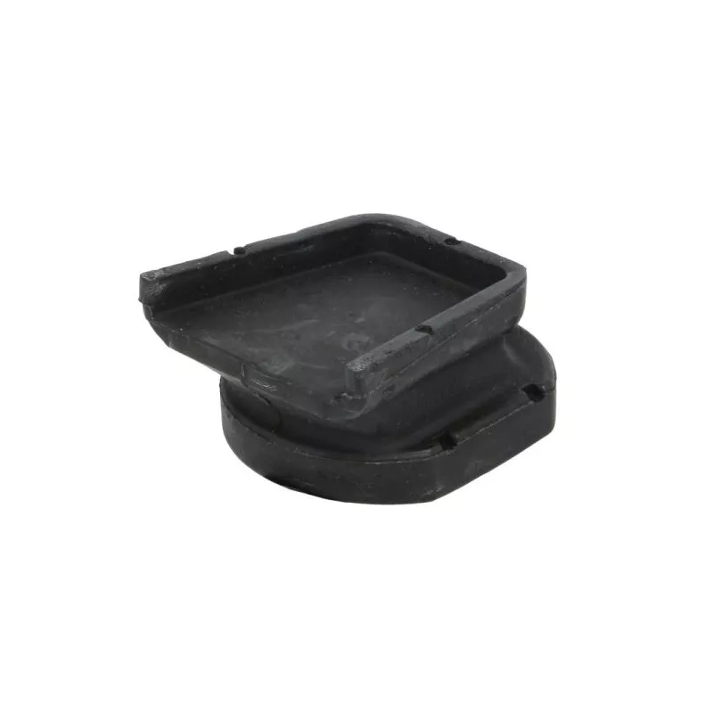 Suspension, ressort à lames S-TR STR-1201227 - Visuel 1