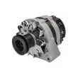 STARDAX STX100977 - Alternateur