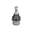 REINHOCH RH03-0041 - Rotule de suspension 
