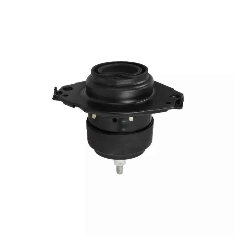 Support moteur REINHOCH RH11-6020 - Visuel 1