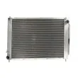 THERMOTEC KTT110381 - Radiateur, refroidissement du moteur