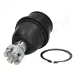 Rotule de suspension JAPANPARTS [BJ-K04]