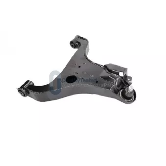 Triangle ou bras de suspension (train avant) JAPANPARTS [BQ175L]