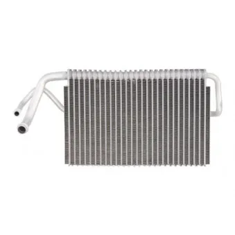 Evaporateur climatisation THERMOTEC OEM 054-020-0001