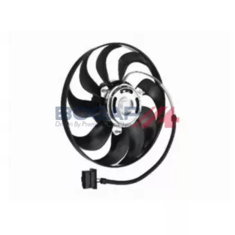 BOGAP A4243157 - Ventilateur, refroidissement du moteur
