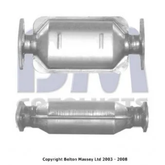 Catalyseur BM CATALYSTS OEM 289502Y100