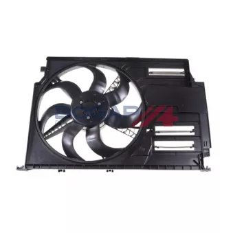 BOGAP B4243141 - Ventilateur, refroidissement du moteur