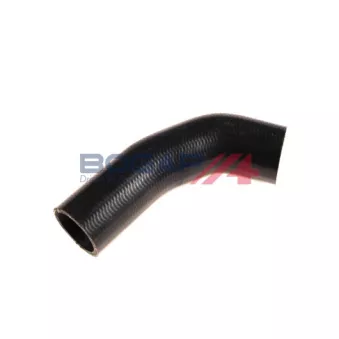 BOGAP C4228263 - Durite de radiateur
