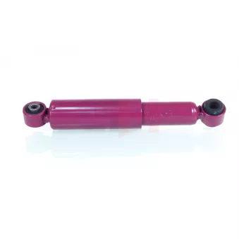 Jeu de 2 amortisseurs arrière GH OEM 6025308760
