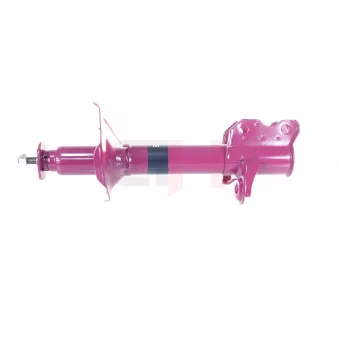 Amortisseur arrière droit GH OEM 5530258C25