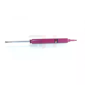 Jeu de 2 amortisseurs arrière GH OEM 6784977