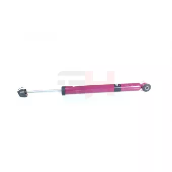 Jeu de 2 amortisseurs arrière GH OEM 1138162