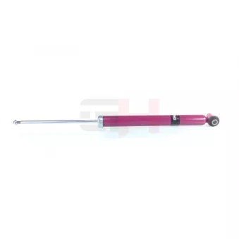 Jeu de 2 amortisseurs arrière GH OEM 436387