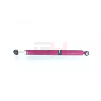 Jeu de 2 amortisseurs arrière GH OEM 1360152