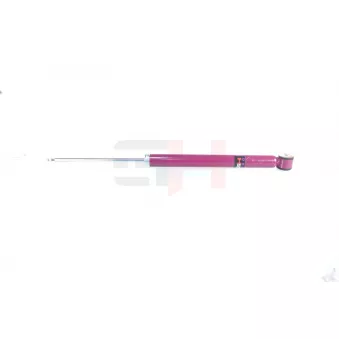 Jeu de 2 amortisseurs arrière GH OEM C1BC18080NA