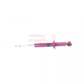 Jeu de 2 amortisseurs arrière GH OEM 553113D602