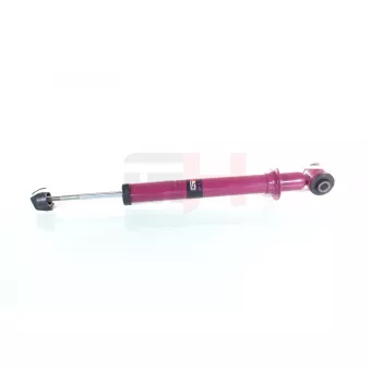 Jeu de 2 amortisseurs arrière GH OEM 90511718