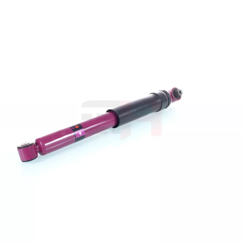 Jeu de 2 amortisseurs arrière GH GH+333934 - Visuel 2