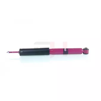 Jeu de 2 amortisseurs arrière GH OEM 12797616