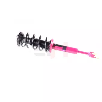 Jambe de suspension GH OEM 3B0413031P