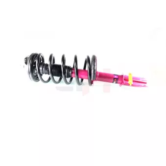 Jambe de suspension GH OEM 503547