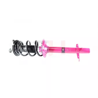 Jambe de suspension GH OEM 503547