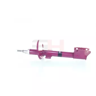 Jeu de 2 amortisseurs arrière GH OEM 562107298R