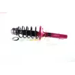 GH GH+354710C02 - Jambe de suspension 