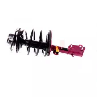 Jambe de suspension GH OEM 5006758aa