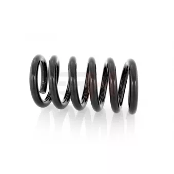 Ressort de suspension GH GH-202506