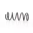 GH GH-202507 - Ressort de suspension 