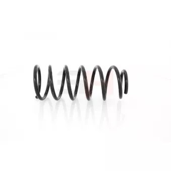 Ressort de suspension GH OEM 312049
