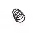 GH GH-203613 - Ressort de suspension 