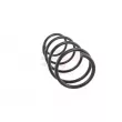 GH GH-203920 - Ressort de suspension 