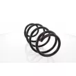 GH GH-203925 - Ressort de suspension 