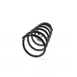GH GH-203995 - Ressort de suspension 