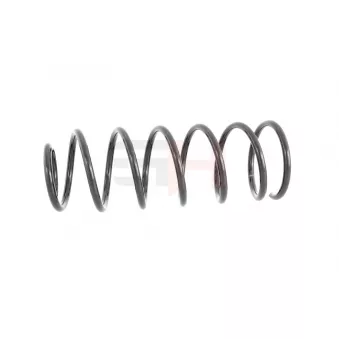 Ressort de suspension GH OEM 191411105p