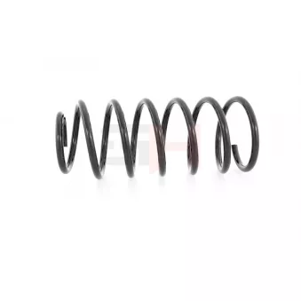 Ressort de suspension GH OEM 191411105p