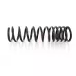 Ressort de suspension GH [GH-222515]