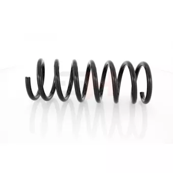Ressort de suspension GH OEM 1509917