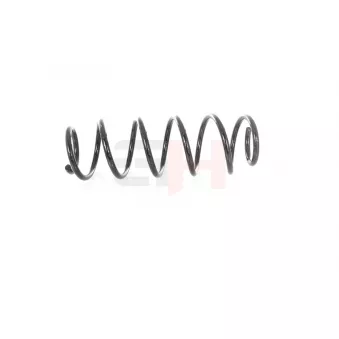 Ressort de suspension GH OEM 1693243104