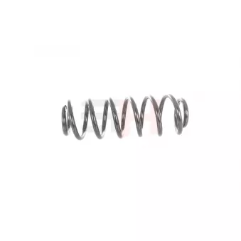 Ressort de suspension GH OEM 5102H6
